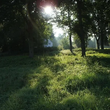 Holiday home In Kienitz Mit Grill, Terrasse Und Garten Letschin